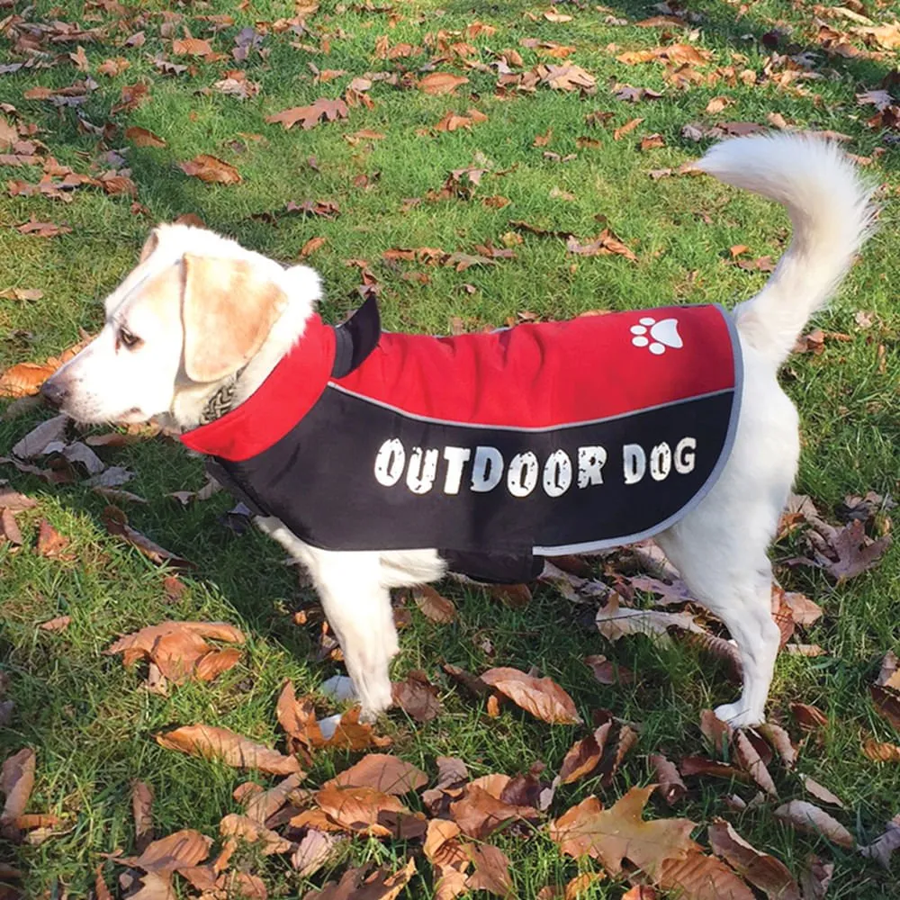 All Weather Dog Jacket, Medium