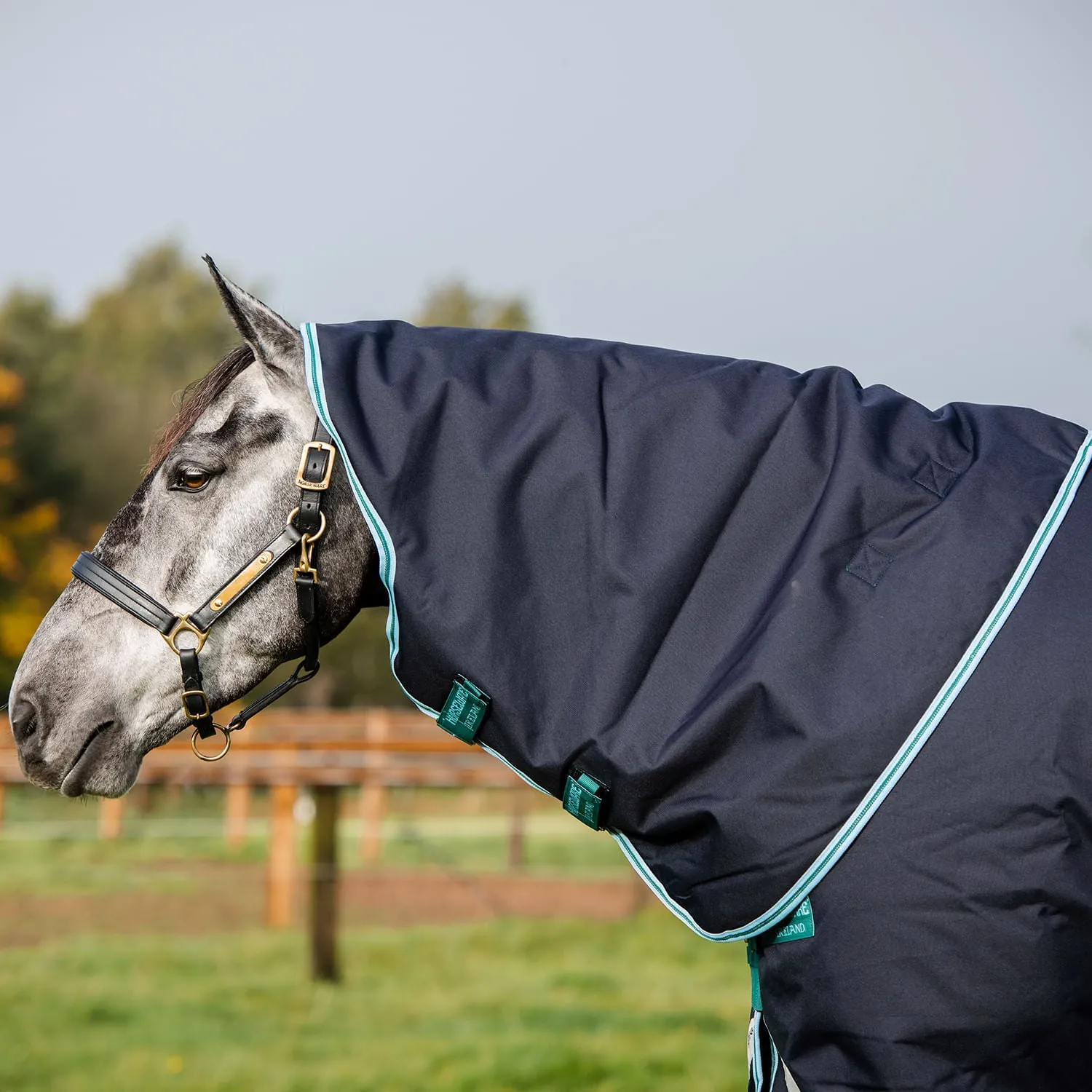 Amigo Bravo 12 Plus Horse Turnout Blanket with 250 gram fill, Navy/Aqua