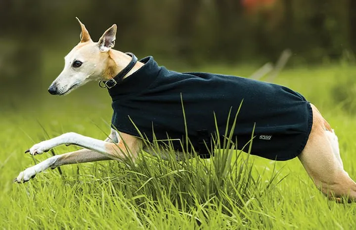 Amigo Fleece Dog Blanket