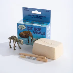 Ice Age Dig Kit