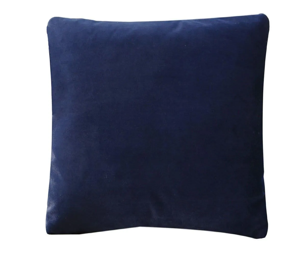 Joei Velvet Pillow