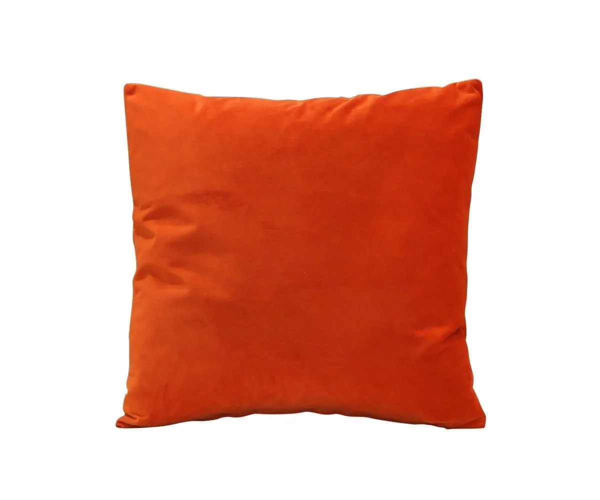 Joei Velvet Pillow