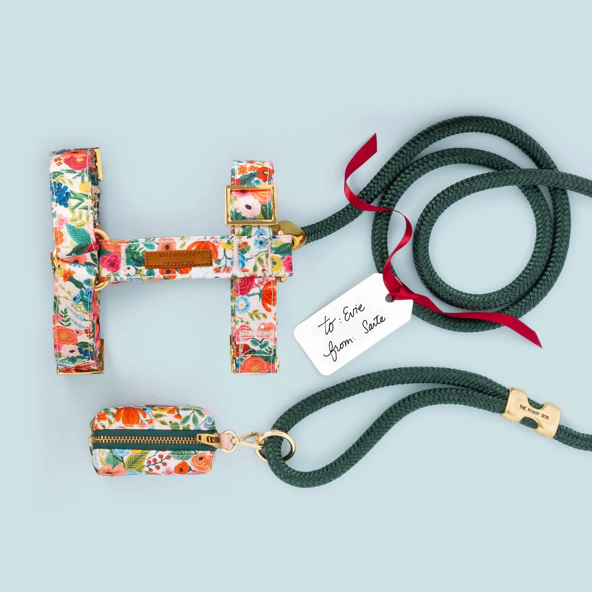 Rifle Paper Co. x TFD Garden Party Harness Walk Set