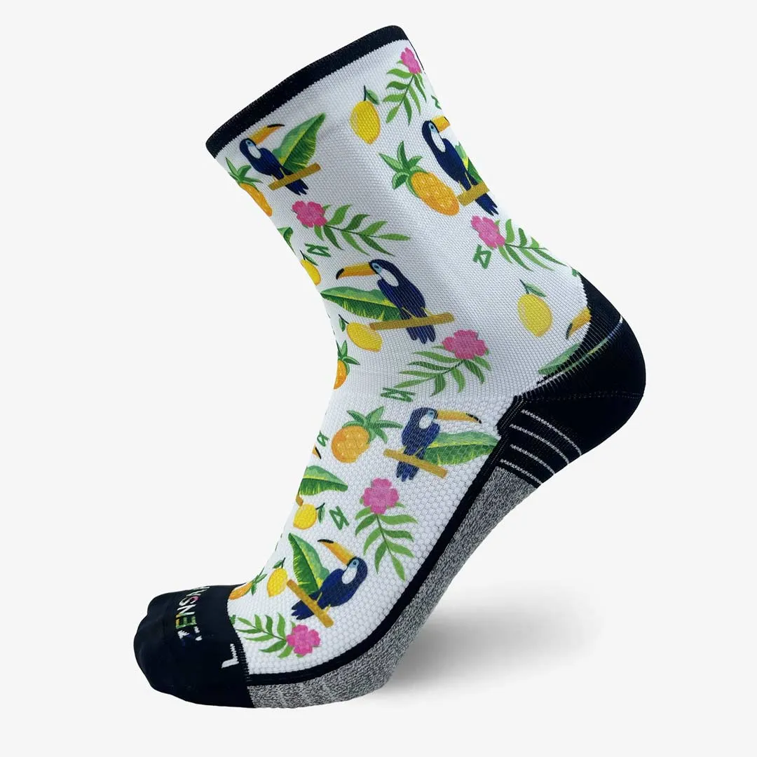 Toucans Socks (Mini-Crew)