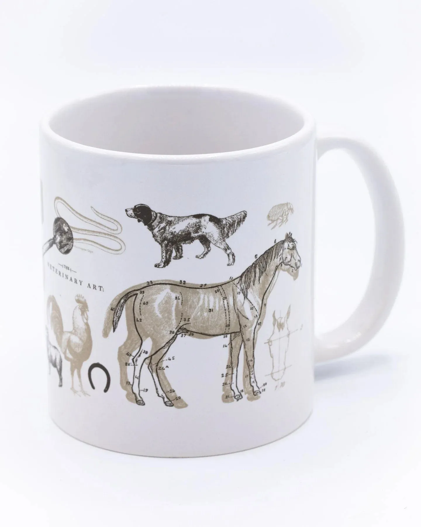 Veterinary Science Mega Mug 20oz